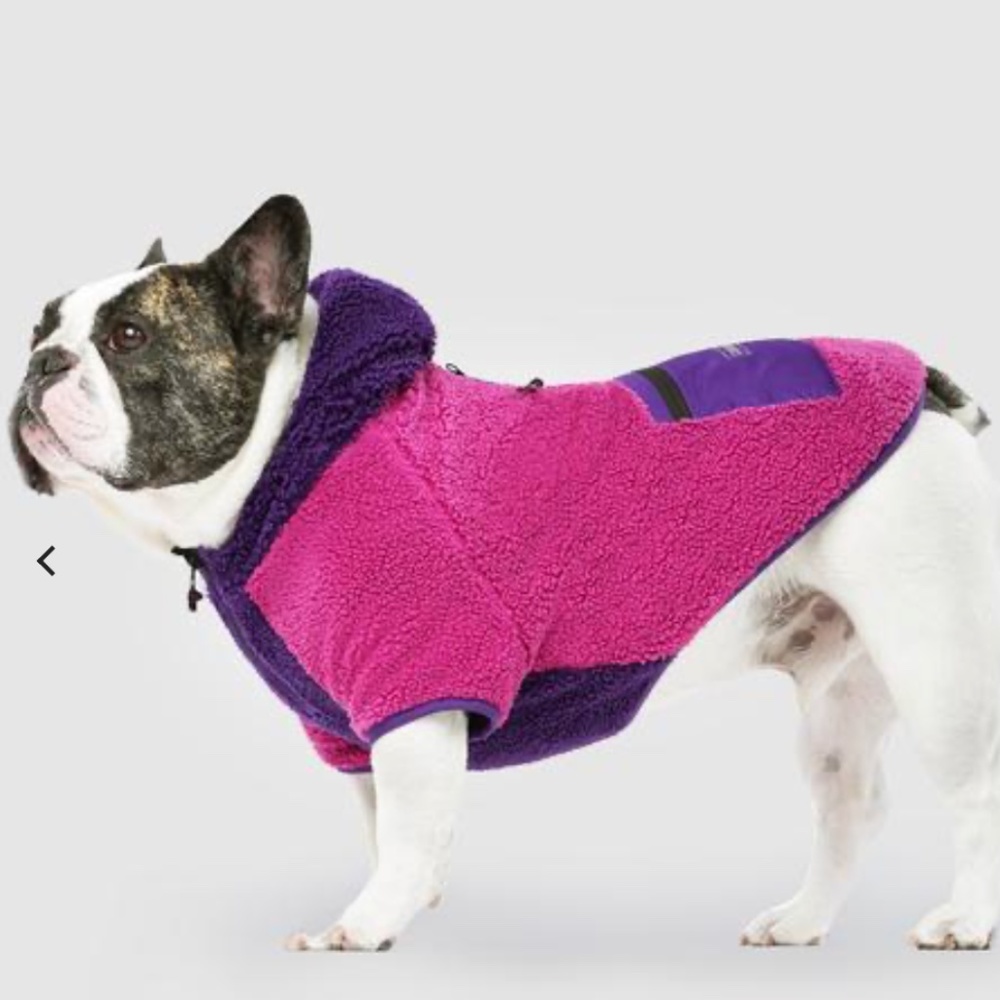 Canada Pooch Cool Factor Hoodie